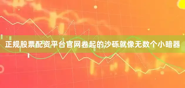 正规股票配资平台官网卷起的沙砾就像无数个小暗器