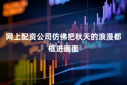网上配资公司仿佛把秋天的浪漫都框进画面